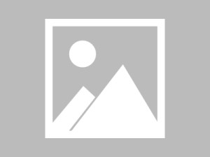 周浦易拉宝广告设计公司——创意与实用并存，专业与实际结合的设计服务